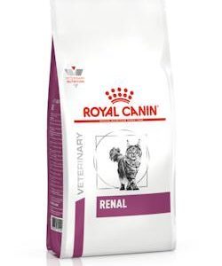 Renal Felino