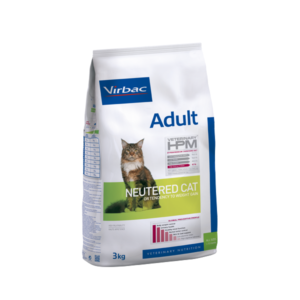 ADULT Neutered cat